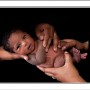 Baby girl in her parents arms, African-American newborn baby girl