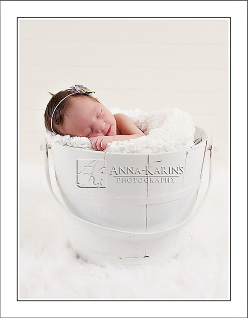 Newborn baby girl in a bucket, newborn baby portrait of baby in basket, baby posed in well bucket, newborn baby girl on white background