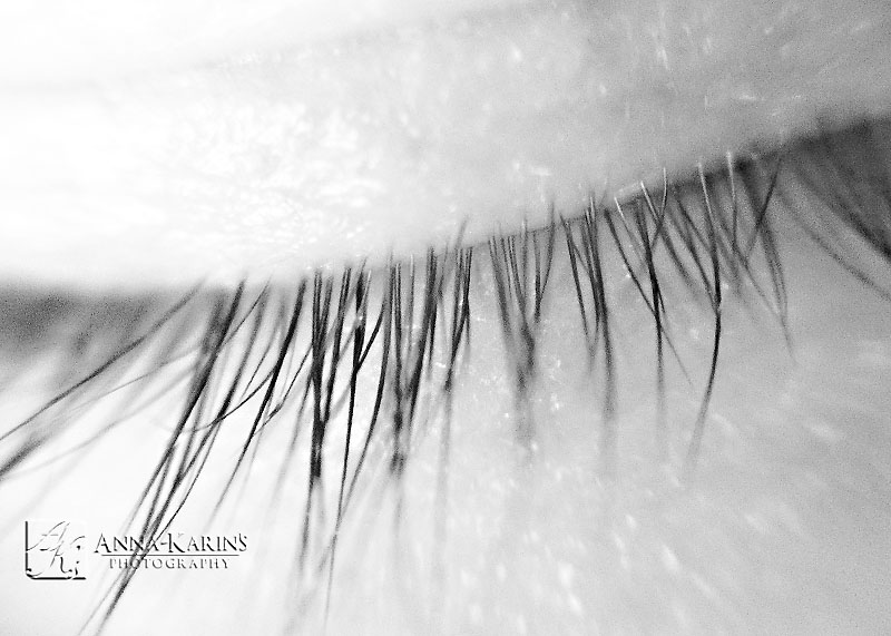eye lashes captured wth macro lens, long eyes lashes