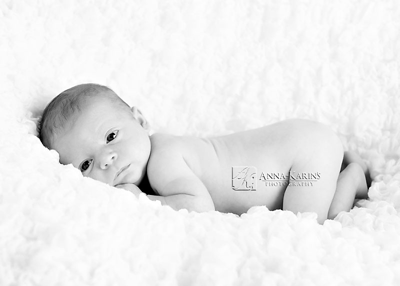 Curled up and alert newborn baby boy