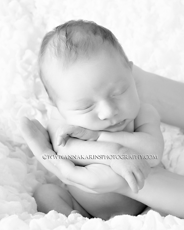 beautiful newborn in mothers arm, curled up newborn, timeless classic contemporary newborn portraits
