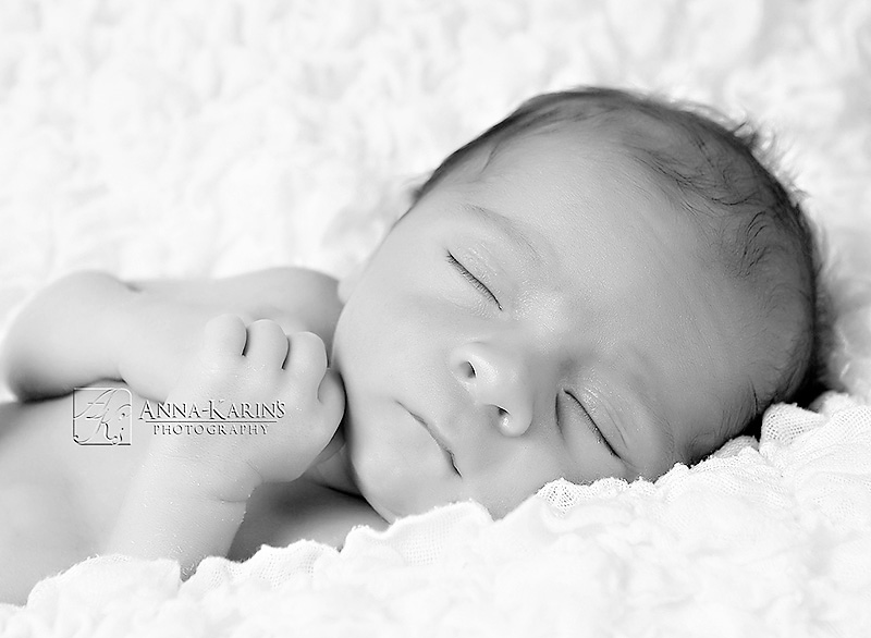 Timeless newborn bw portrait of sleeping newborn baby boy