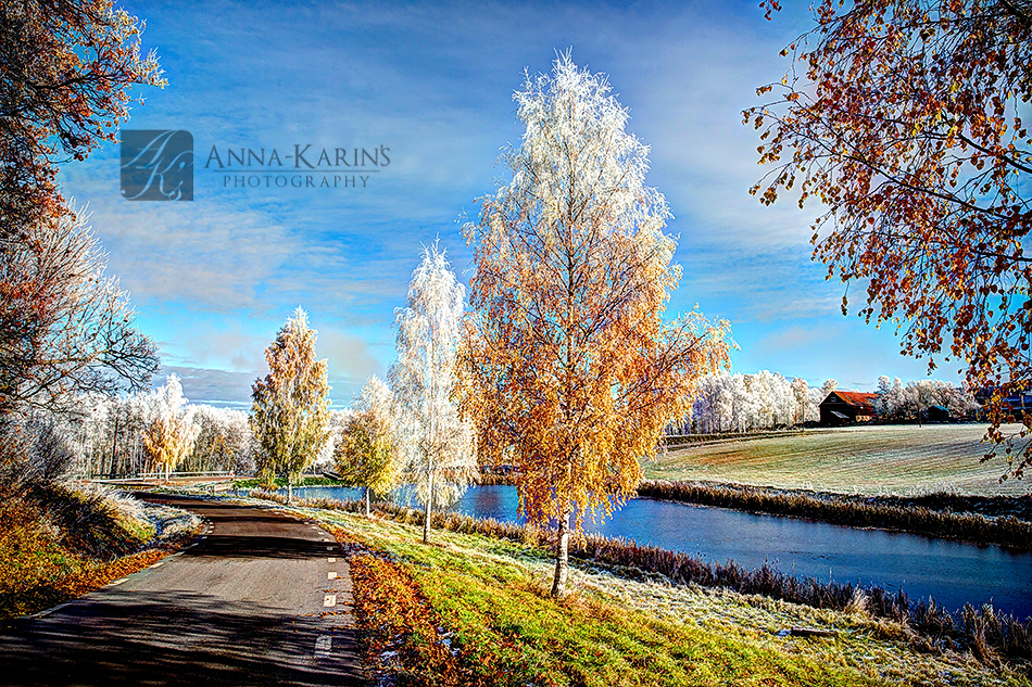 Country side in Sweden, first frost of the winter, ice and frost covered trees,