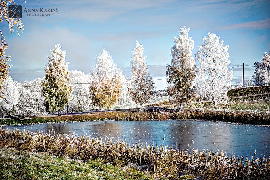 first freeze on a lake, frost covered winter trees,
