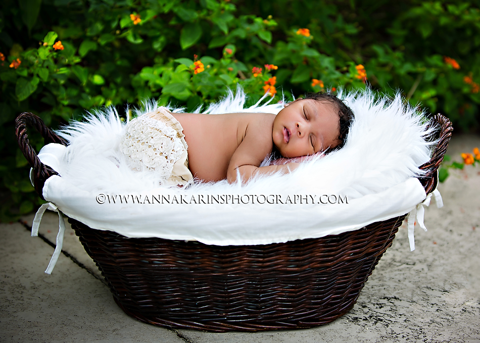 Newborn aa baby girl in basket,